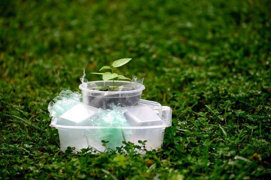 Bioremediation: how nature cleans the environment of plastics and metals